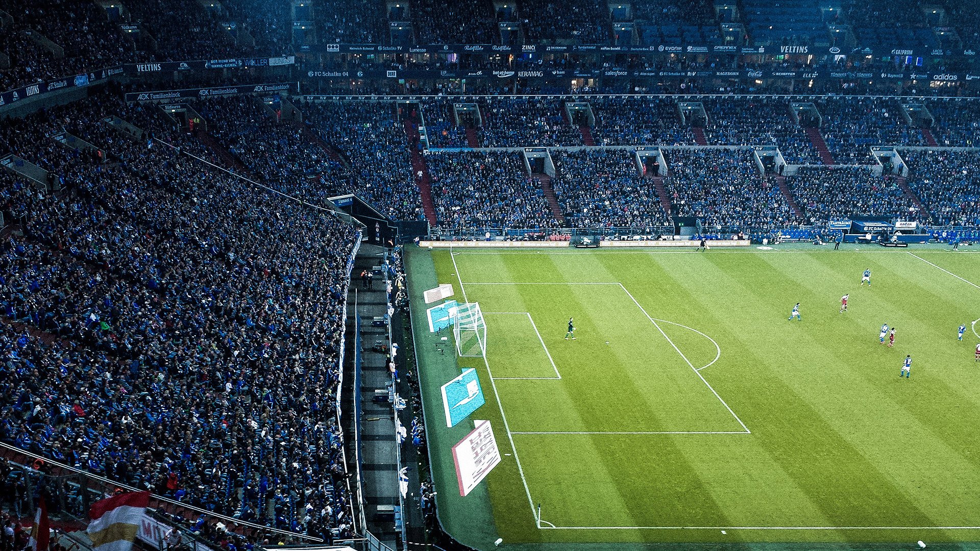 拉尼·帕利斯特展现强大心理素质,尼拉帕利pfs